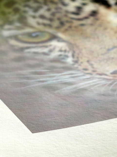 Print on Hahnemühle Bamboo archival paper